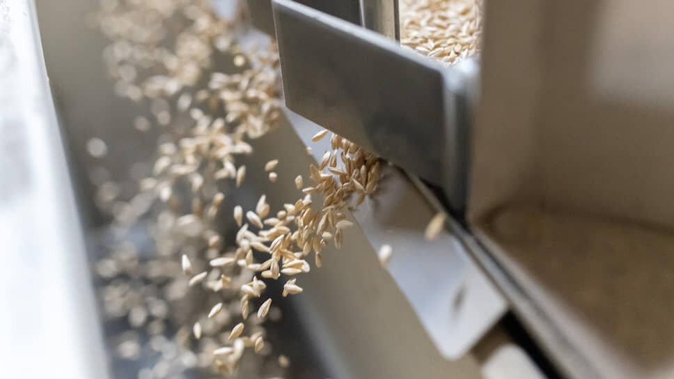 Фото: Игорь Елисеев / Коммерсантъ