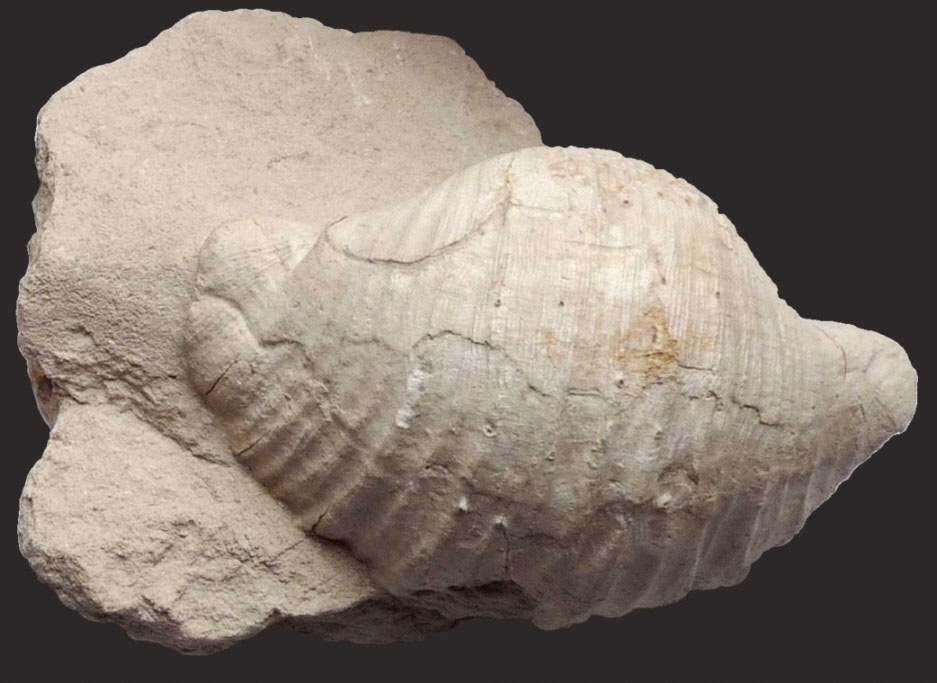 Изображение 4.