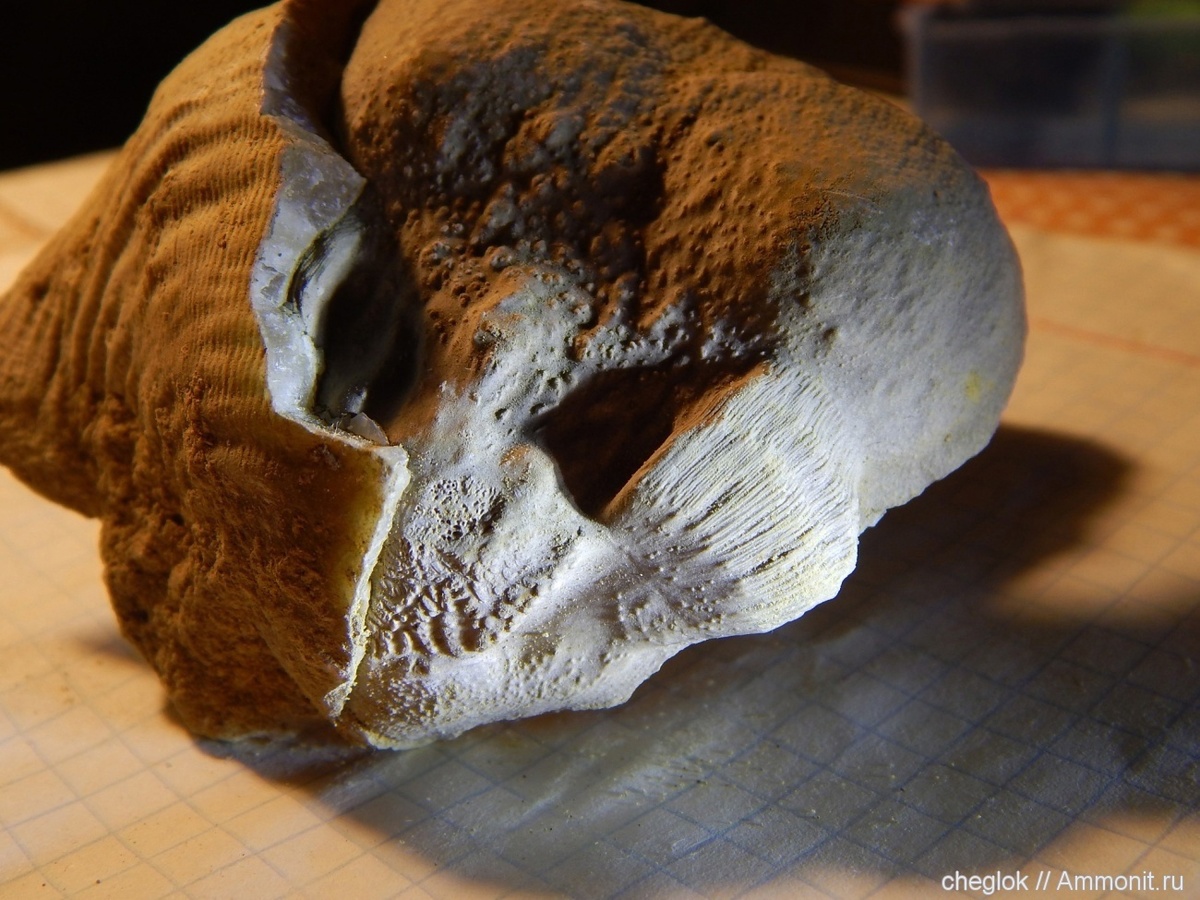 Изображение 5.