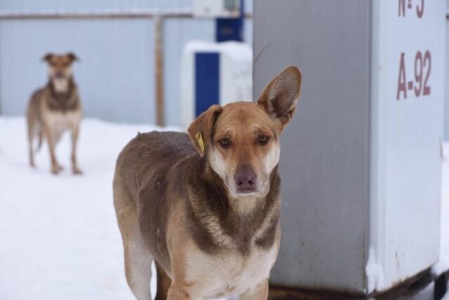     Автор фото: Владимир ЛАВРОВ (архив)