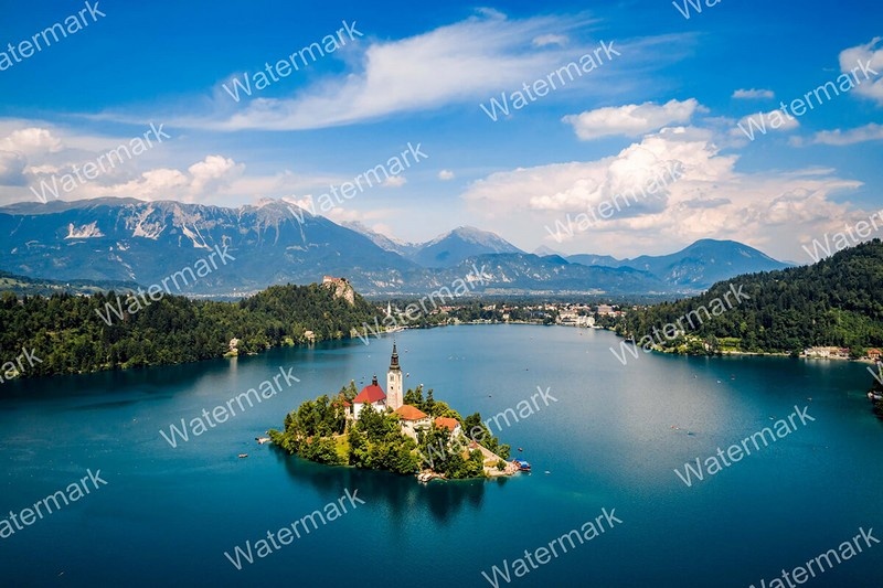 Водяные знаки