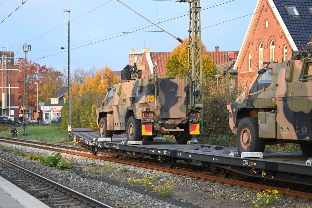     / Источник: © Global Look Press