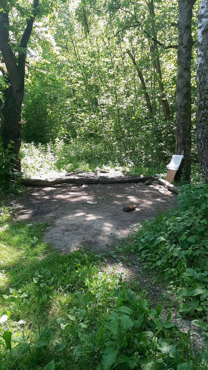 Международный день 🌲лесов. 