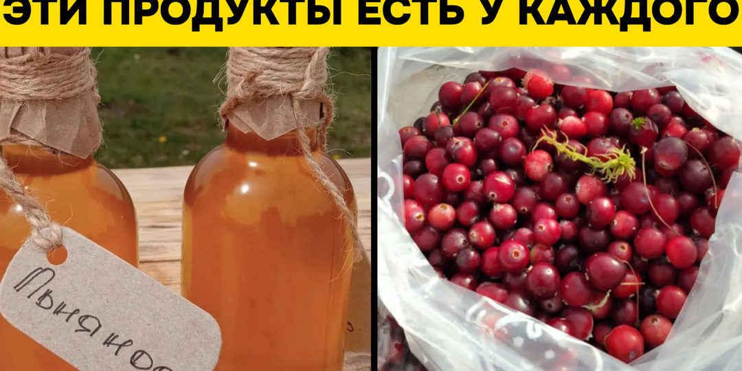 Сосуды как реки: 5 привычных продуктов, которые прокачают ваше здоровье по-русски