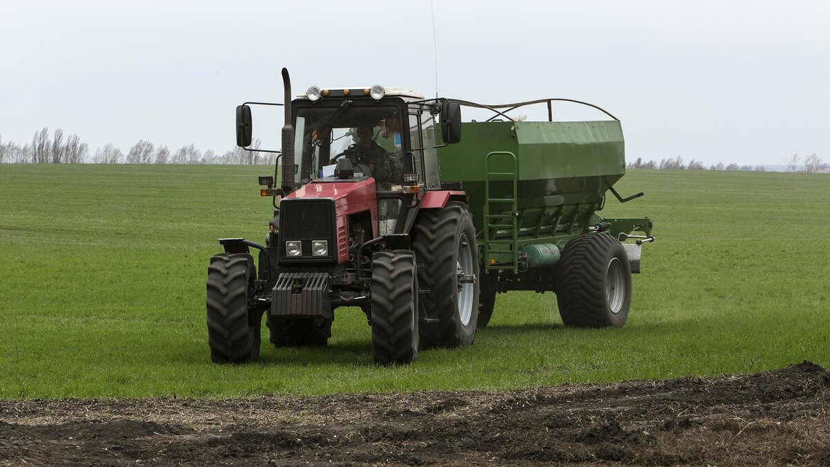    Фото: Nikolay Gyngazov/globallookpress.com