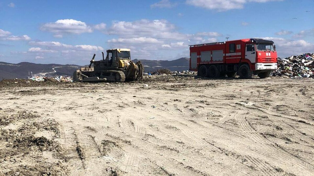    Фото: t.me/Gavrikovzam