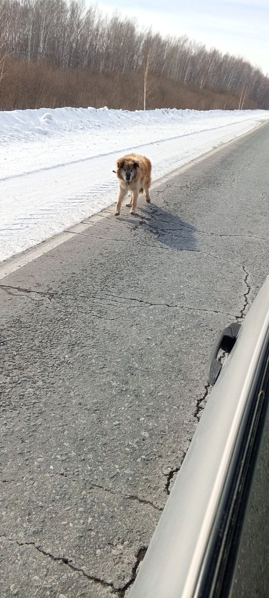 Фото от людей с трассы