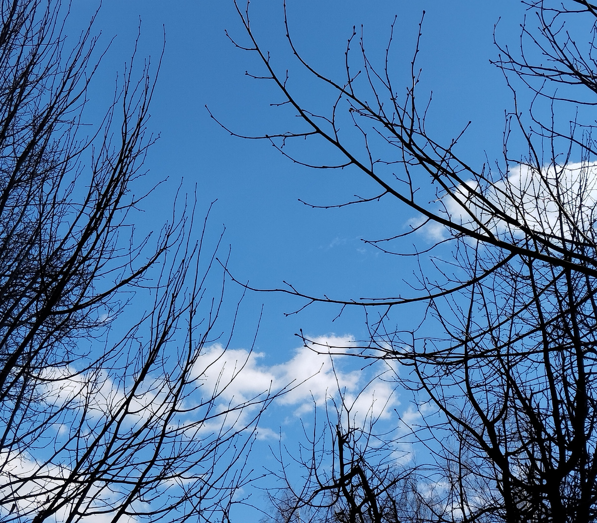 Март в Лианозово.