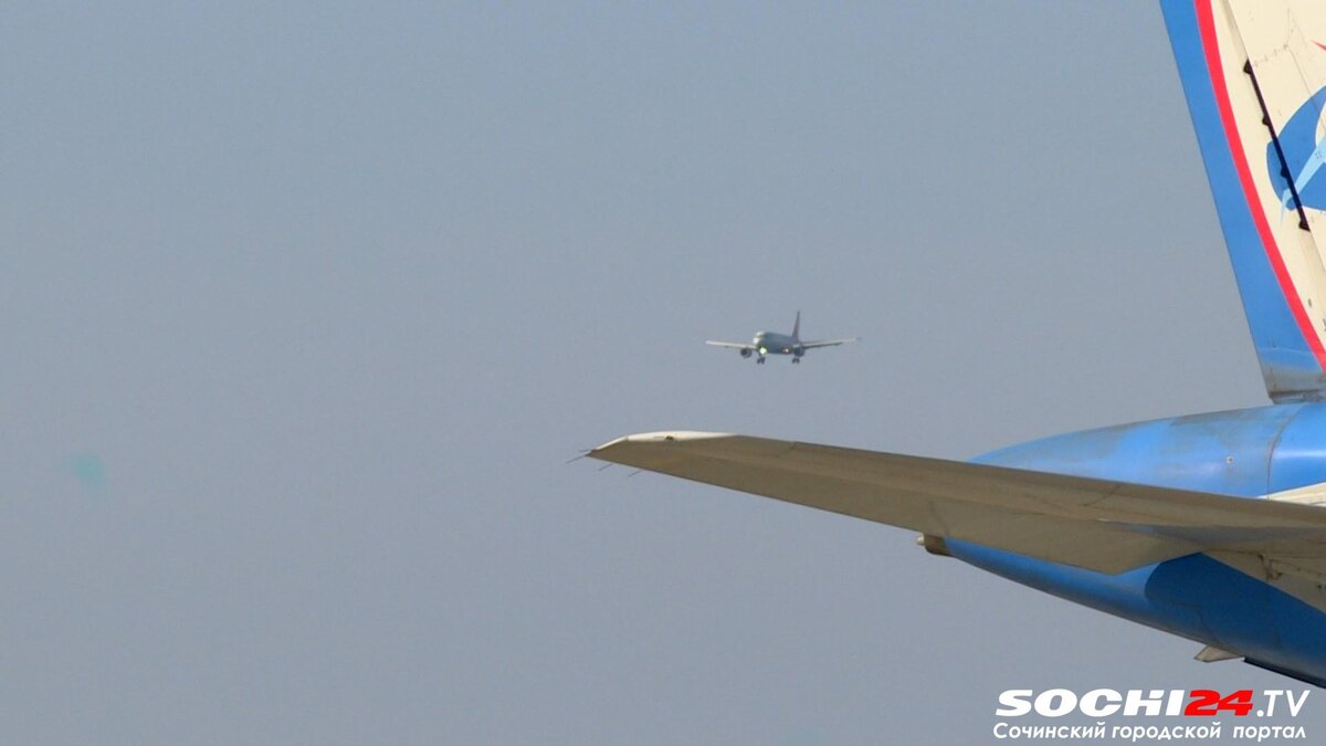 фото: Сочи 24  📷
