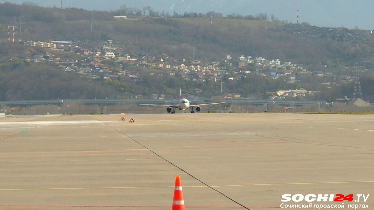 фото: Сочи 24  📷
