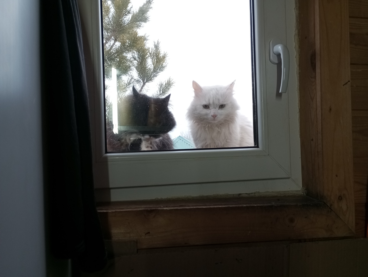 Фото сделано 16.03.25

