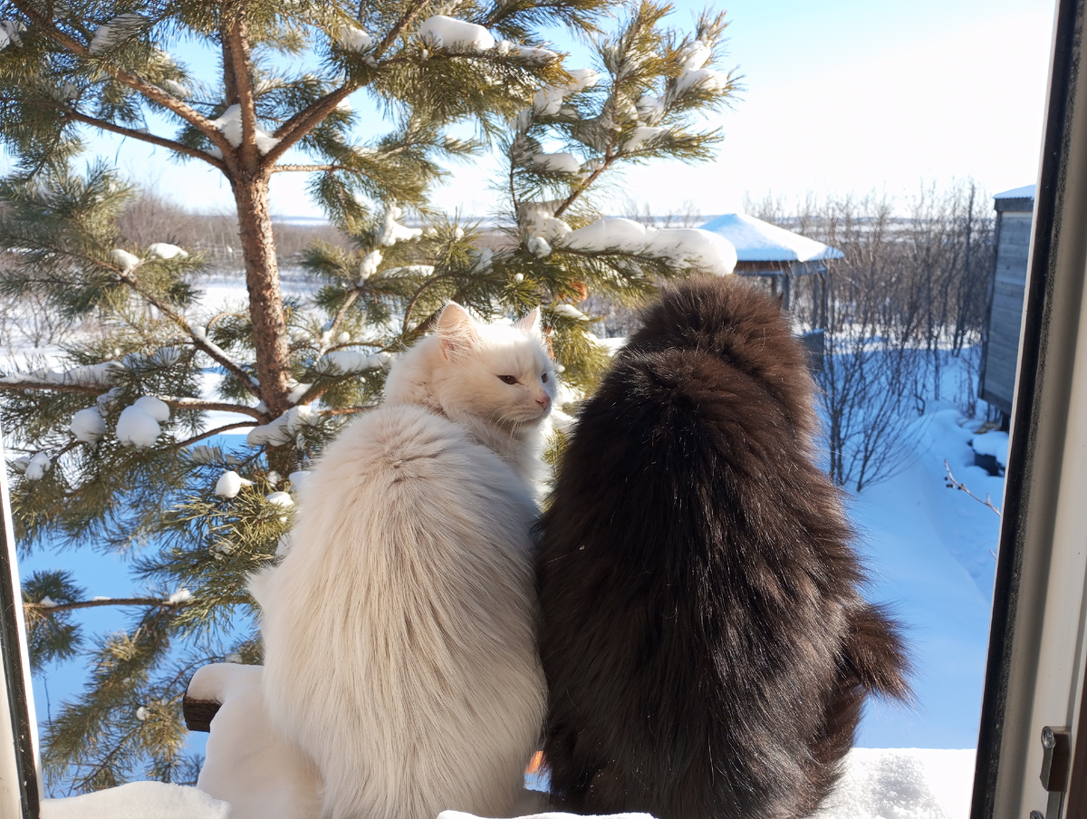 Фото сделано 22.01.25