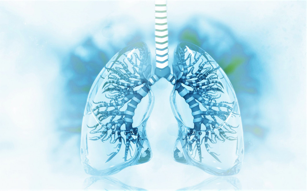 Изображение для оформления статьи 