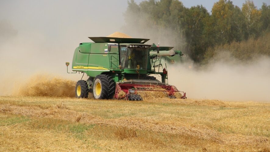    Фото: pixabay.com