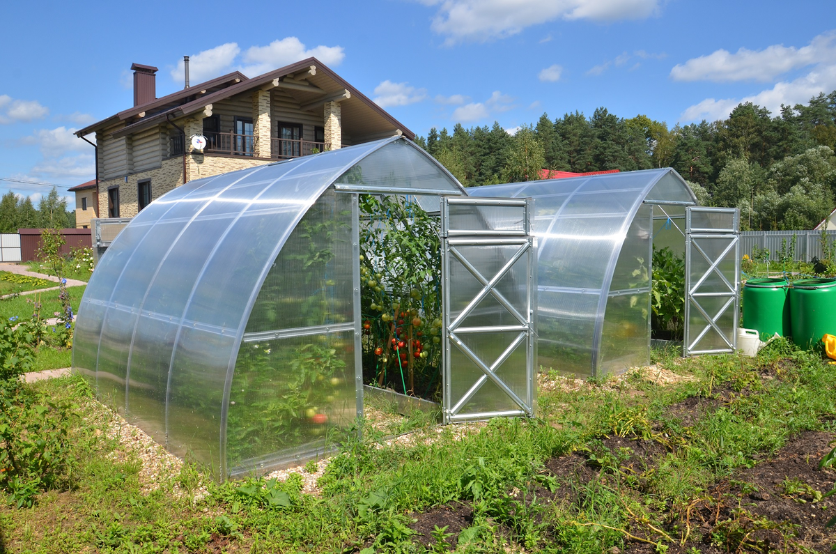 Фото с сайта: https://teplica-spb.ru/teplicy-iz-polikarbonata/shirina-2_5m/dachnaya-strelka