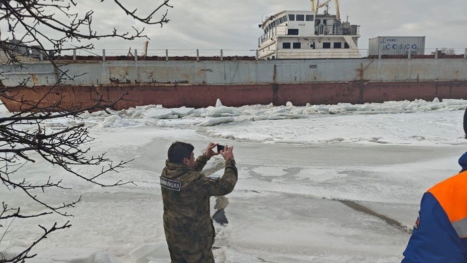    Автор фото: t.me/ecology47