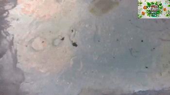 Кадры приводнения корабля Orion из миссии Artemis I