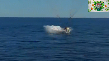 Кадры приводнения Crew-9