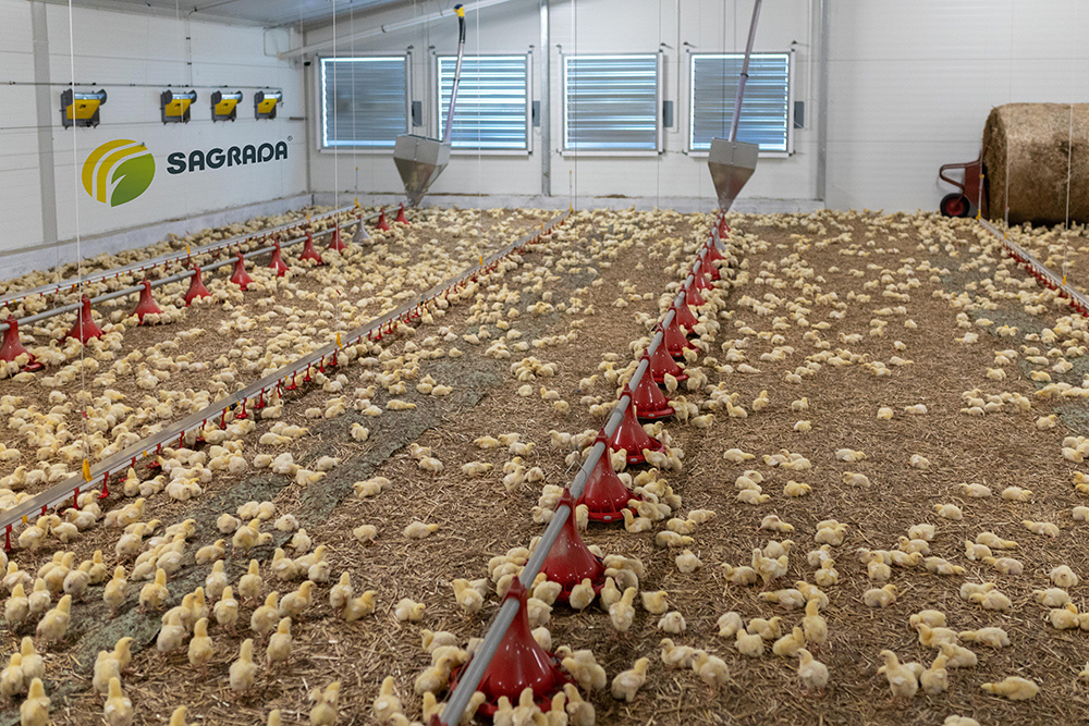 Приточные жалюзи туннельной вентиляции SAGRADA 