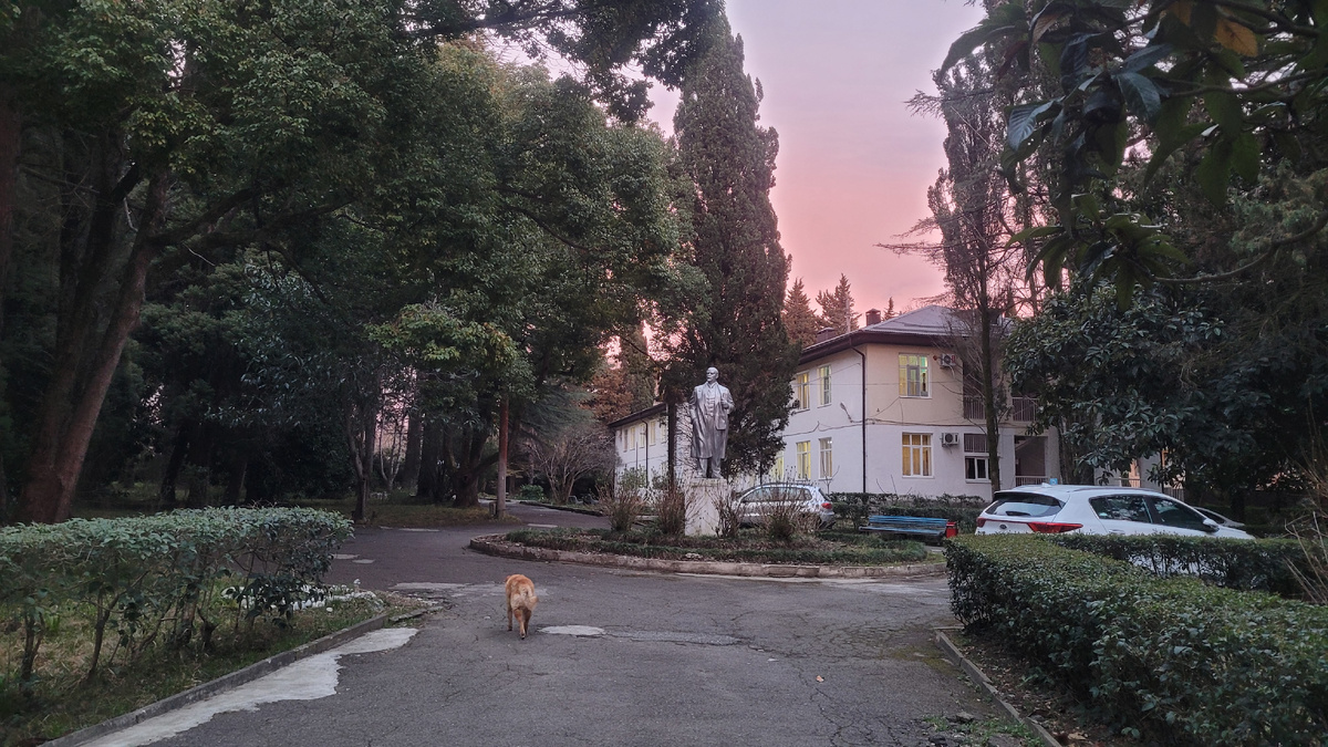 Розовый закат