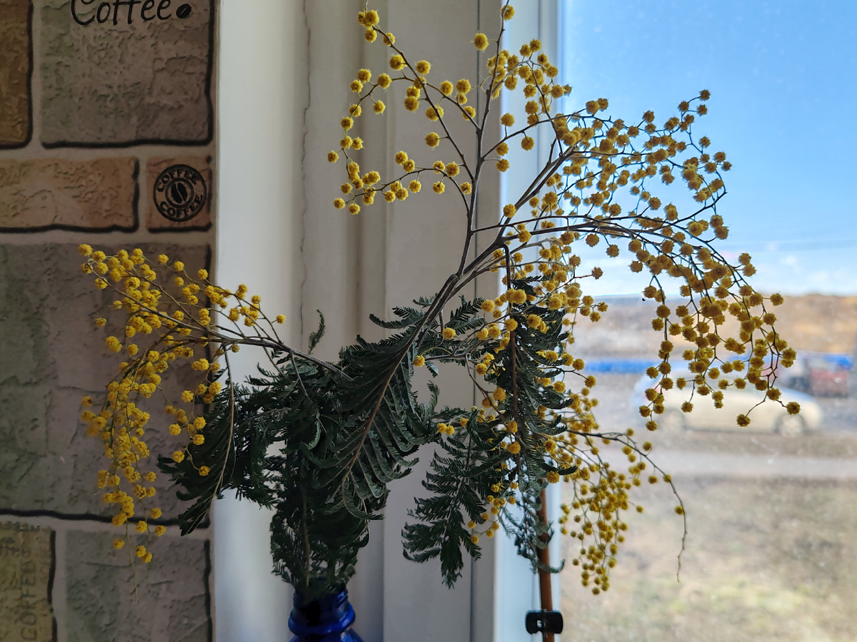 Фото автора канала. 