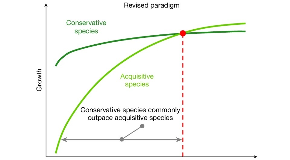   Laurent Augusto et al. / Nature, 2025