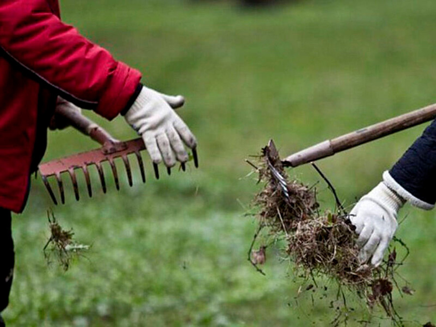     За порядок – вместе