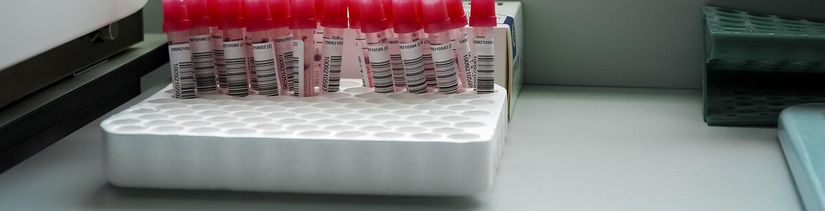    Фото: Андрей Закоморный