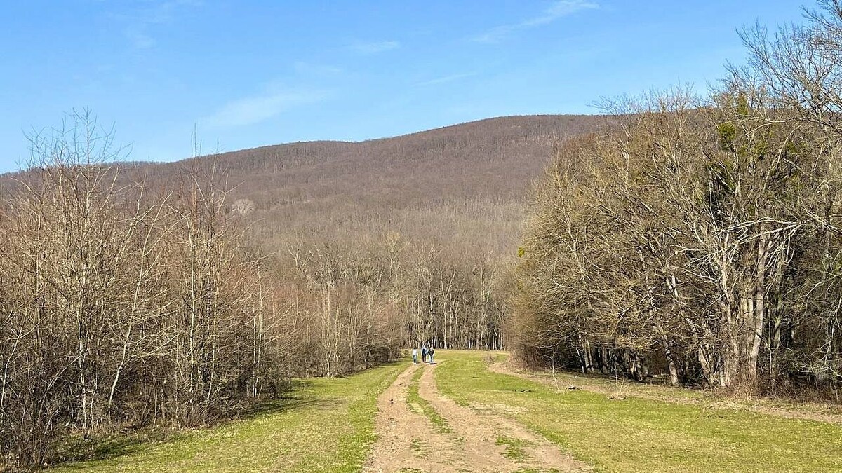    Фото: телеканал «Краснодар»