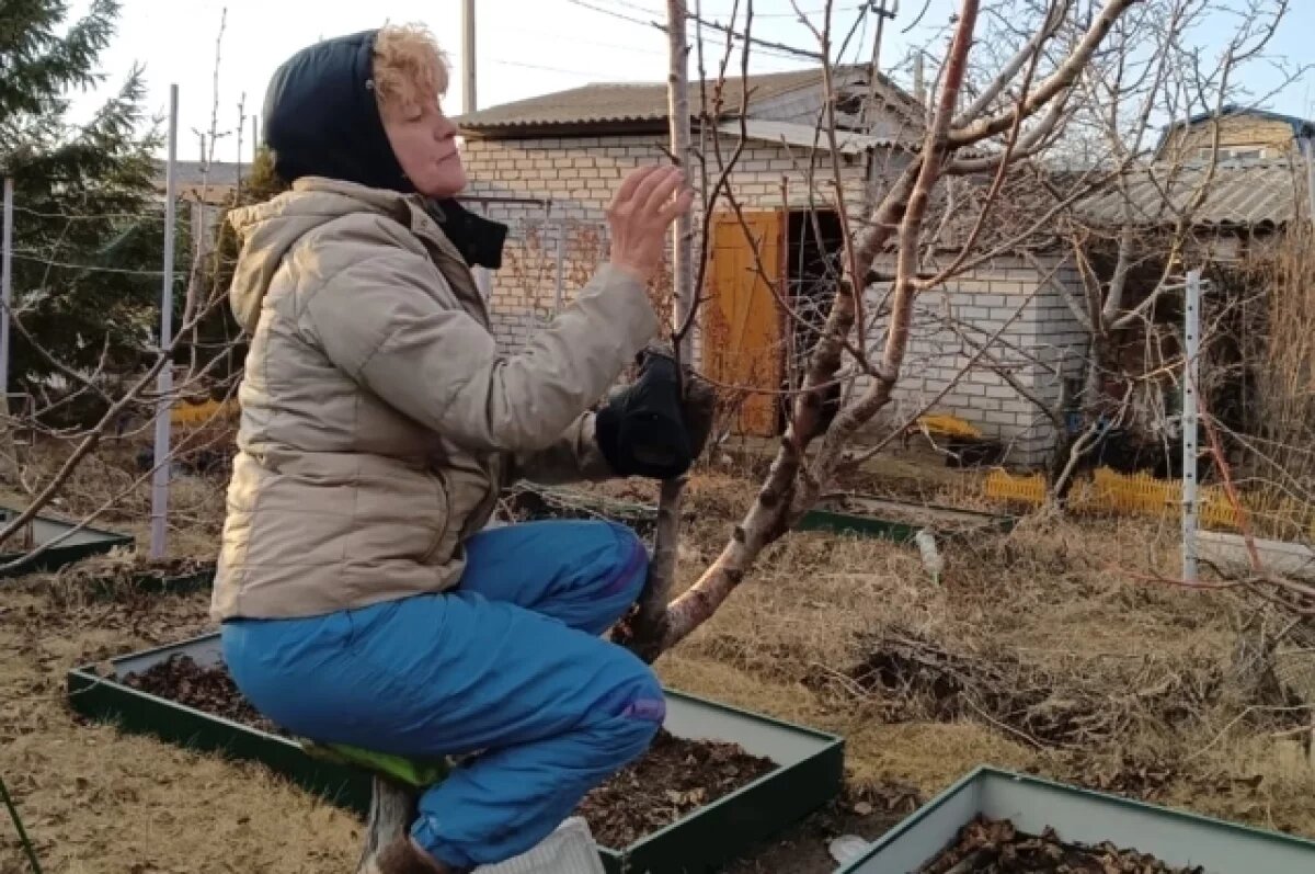    80 тысяч рублей потратят волгоградцы на начало дачного сезона