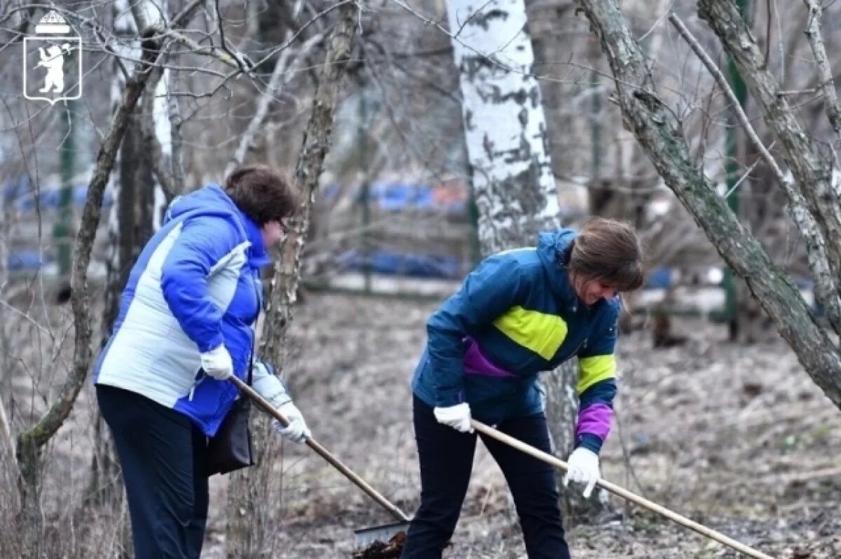    В Ярославле пройдет общегородской субботник