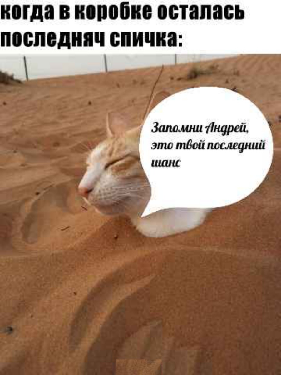 когда решил начать убираться в доме