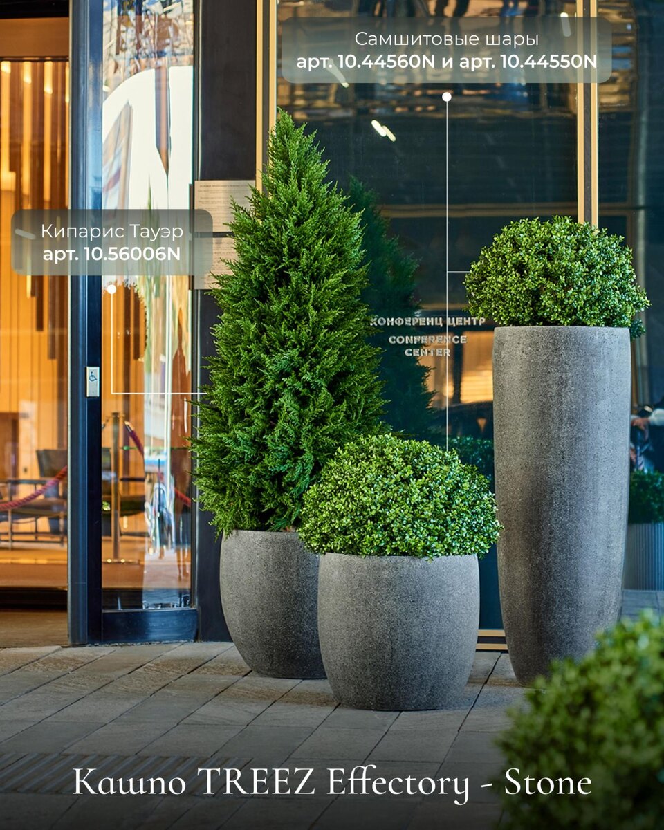 Кашпо и растения Treez Collection