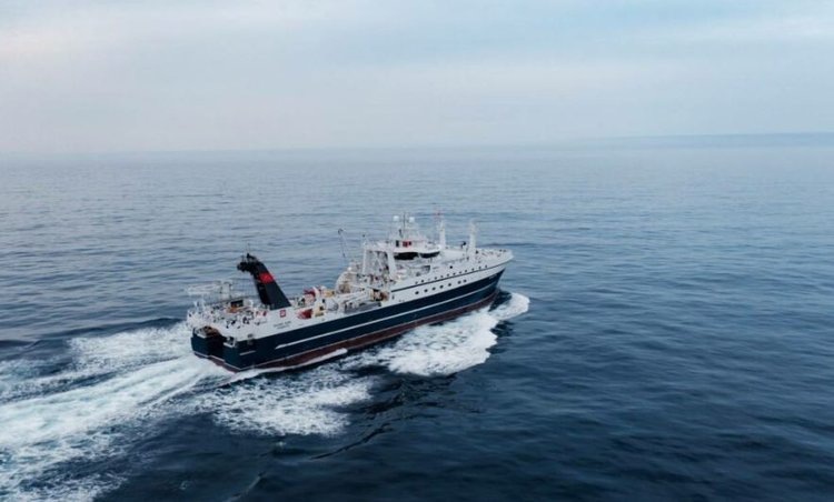    Для развития рыболовства в России применяют уникальный механизм инвестквот