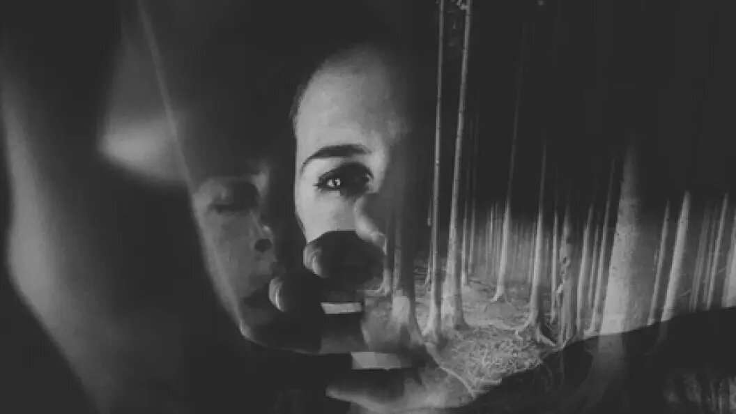    Фото: коллаж Царьграда