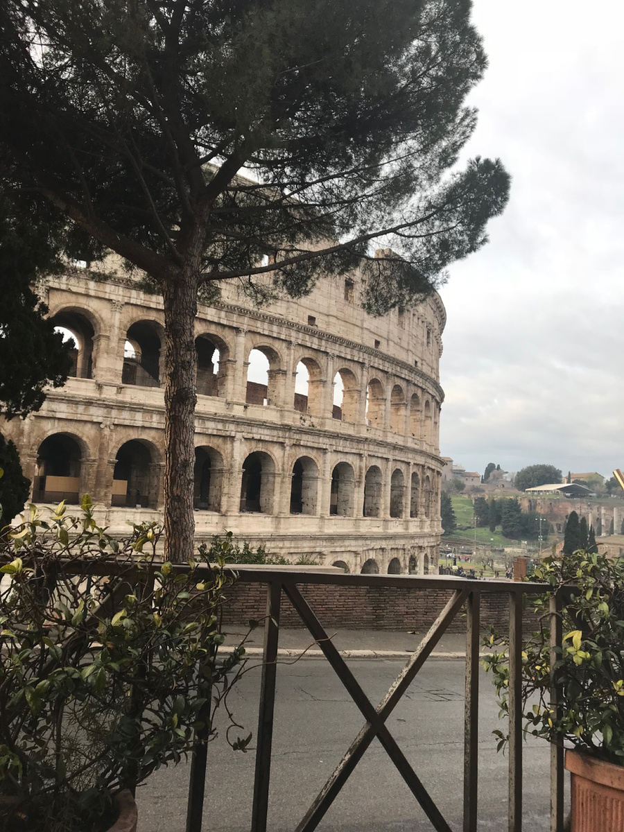Вид на Колизей из ближайшей кофейни