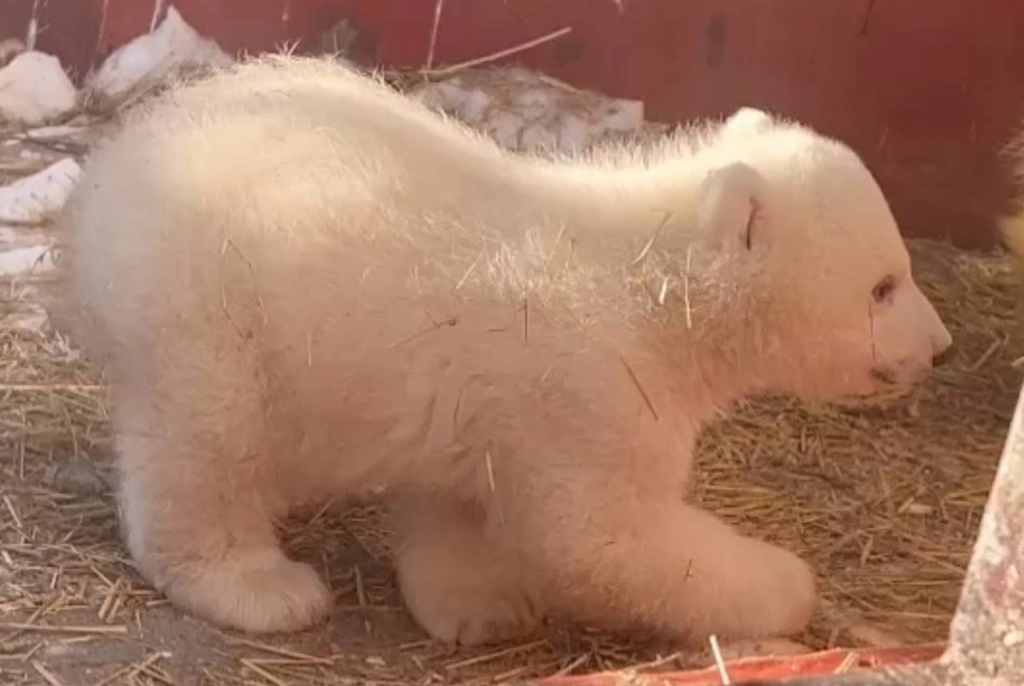    Фото: «В курсе.ру» Ольга Гилёва