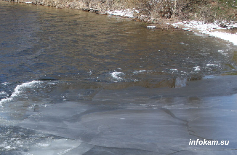    Весна на Волге вступает в свои права