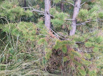 Фотография из личного архива автора