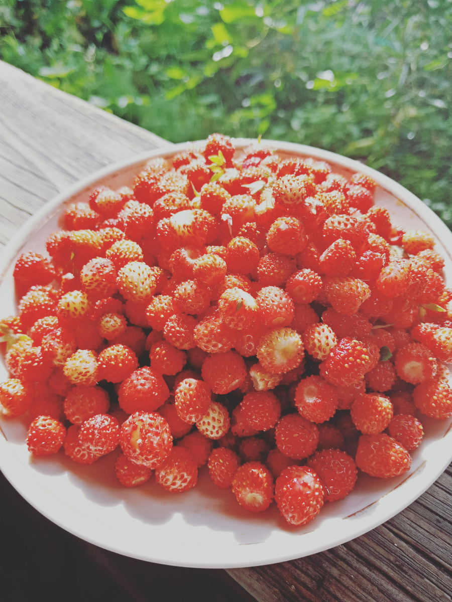 лесная земляника