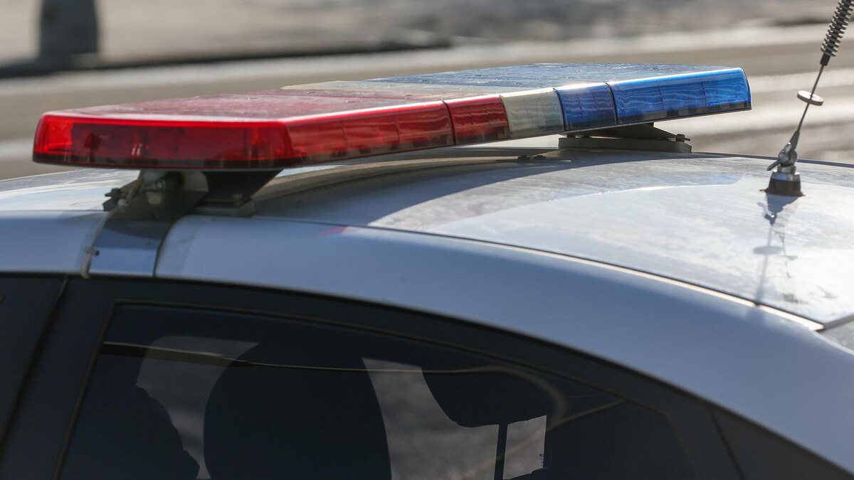    Фото: Belkin Alexey/globallookpress.com