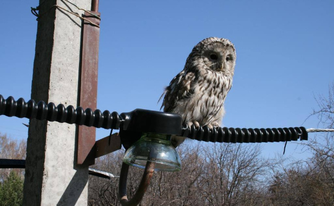    © Пресс-служба администрации Ленинградской области