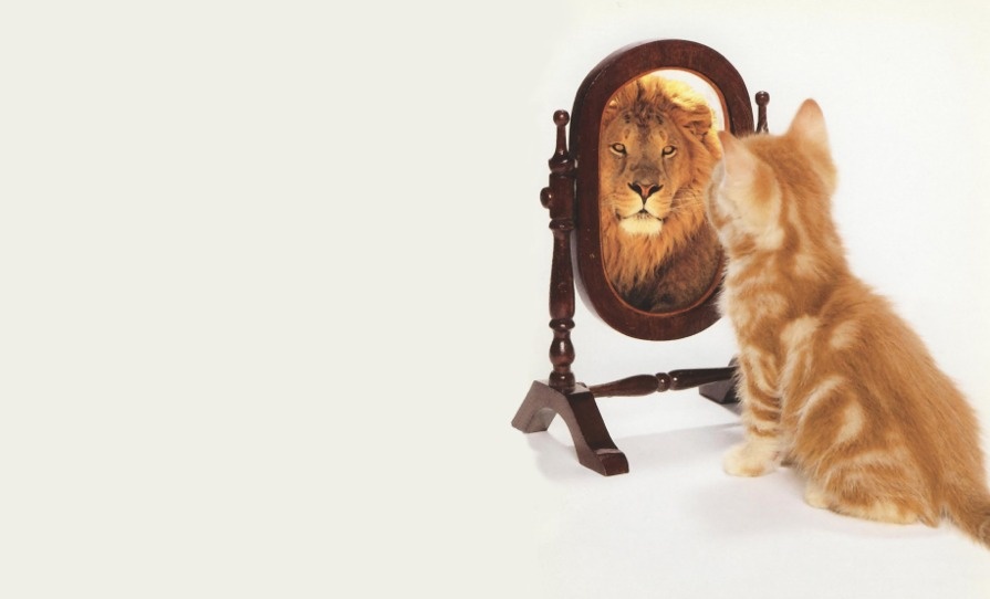 Взято из интернета