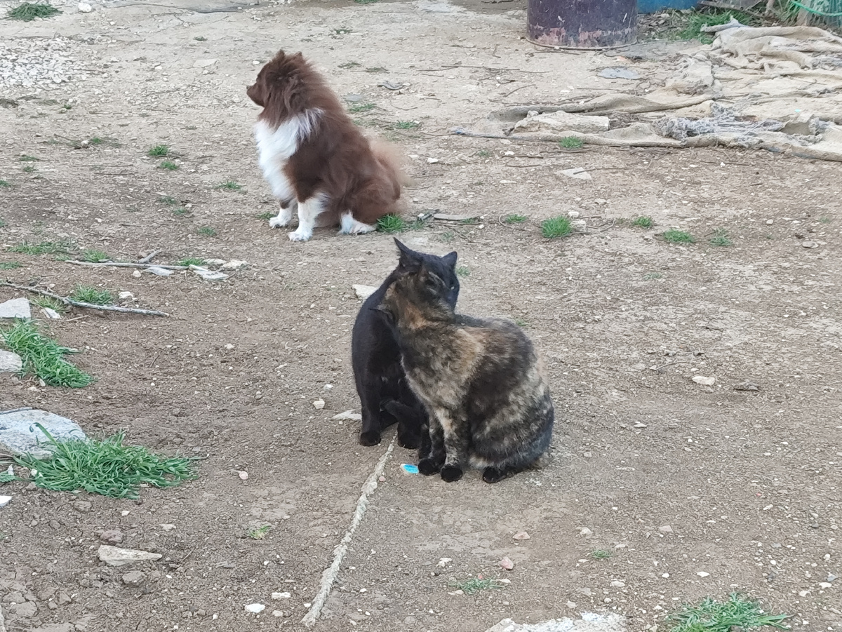 Глаза б мои не смотрели!