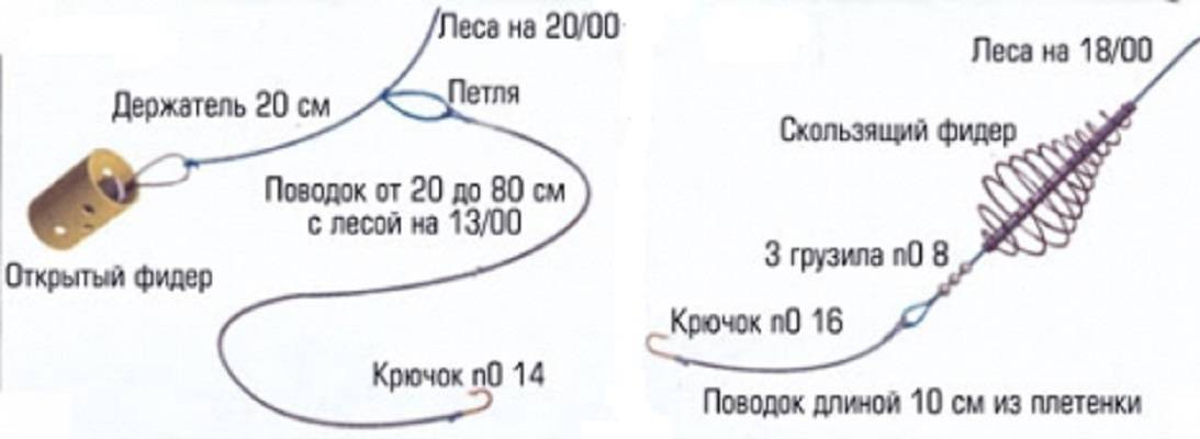 Фото с сайта: https://avatars.dzeninfra.ru