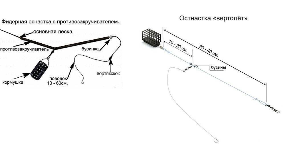 Фото с сайта: https://activefisher.net