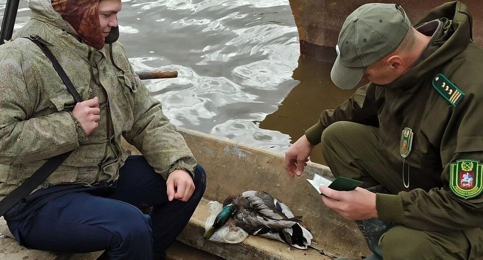    Комитет лесного хозяйства Московской области