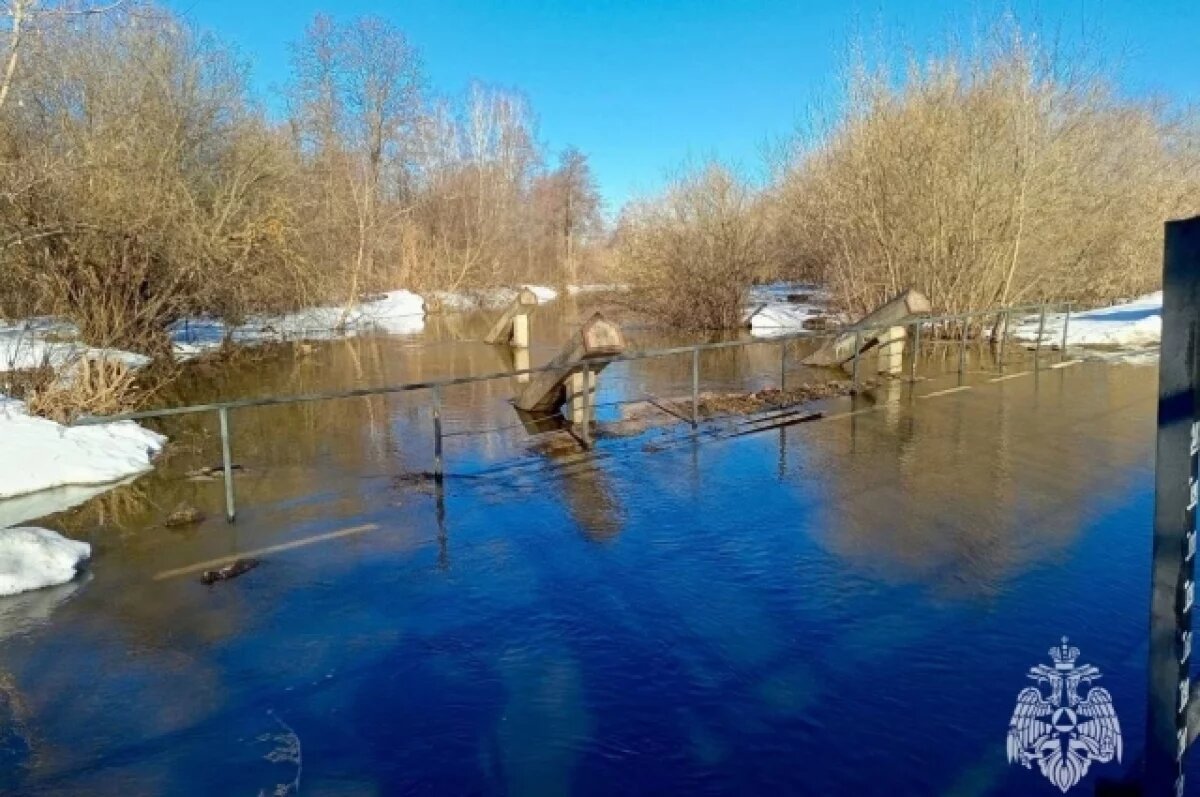    Паводок может подтопить 141 населенный пункт в Нижегородской области
