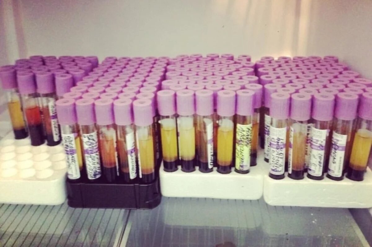    В Пермском крае после 10 лет завершают проект по донорству костного мозга