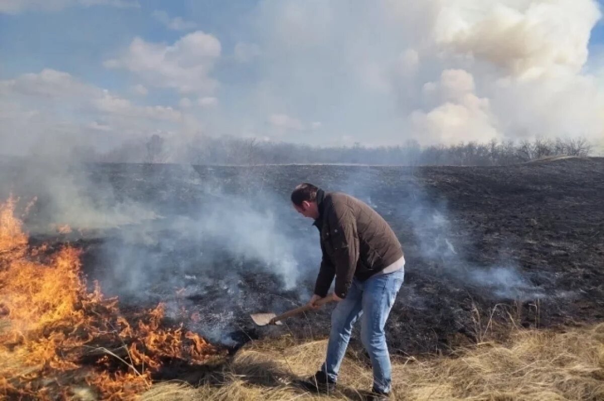    При пожаре в воронежском музее-заповеднике «Дивногорье» погибли животные
